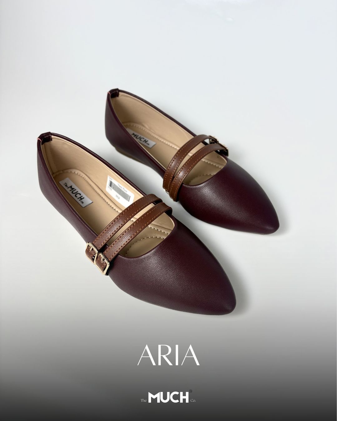 Aria