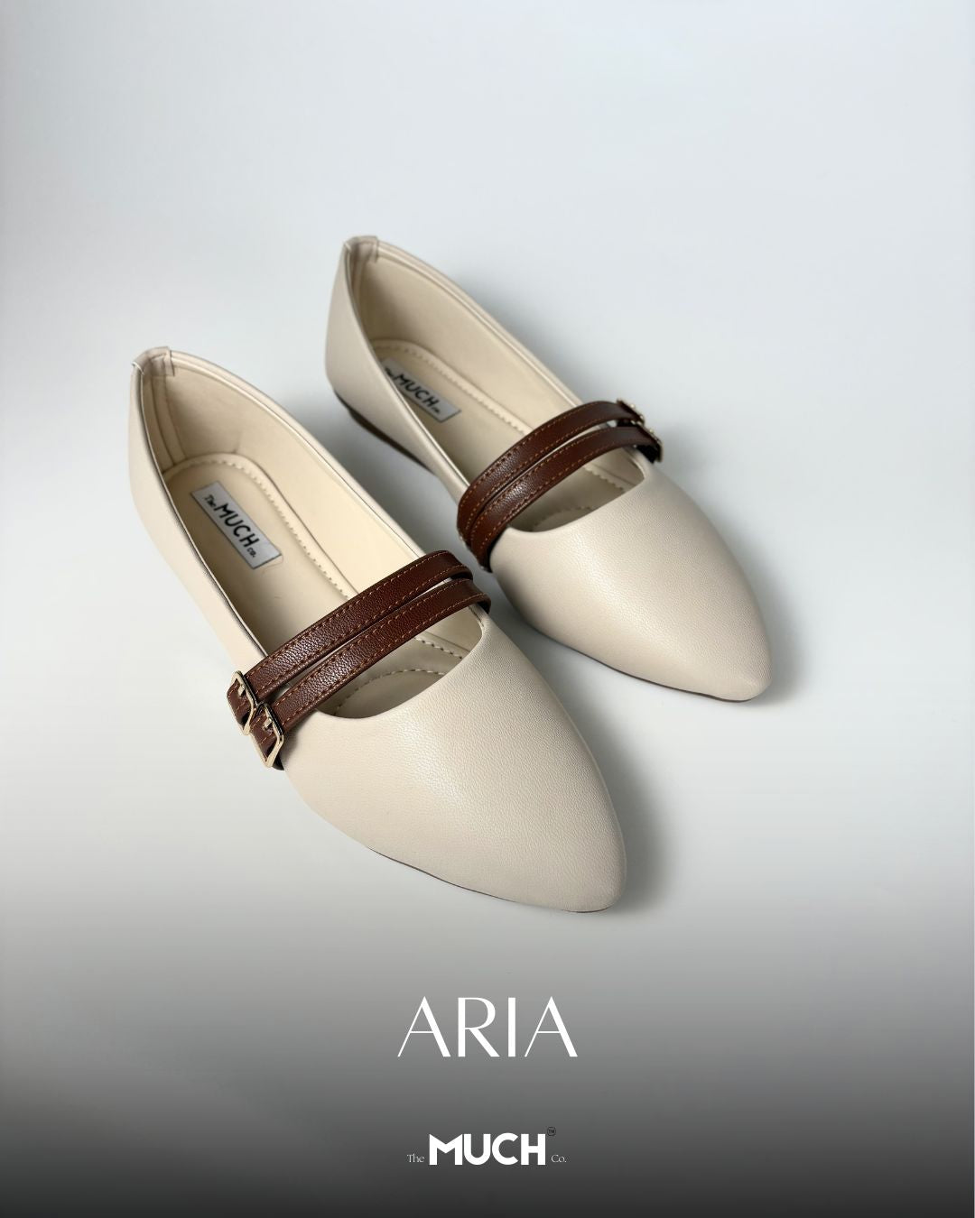 Aria